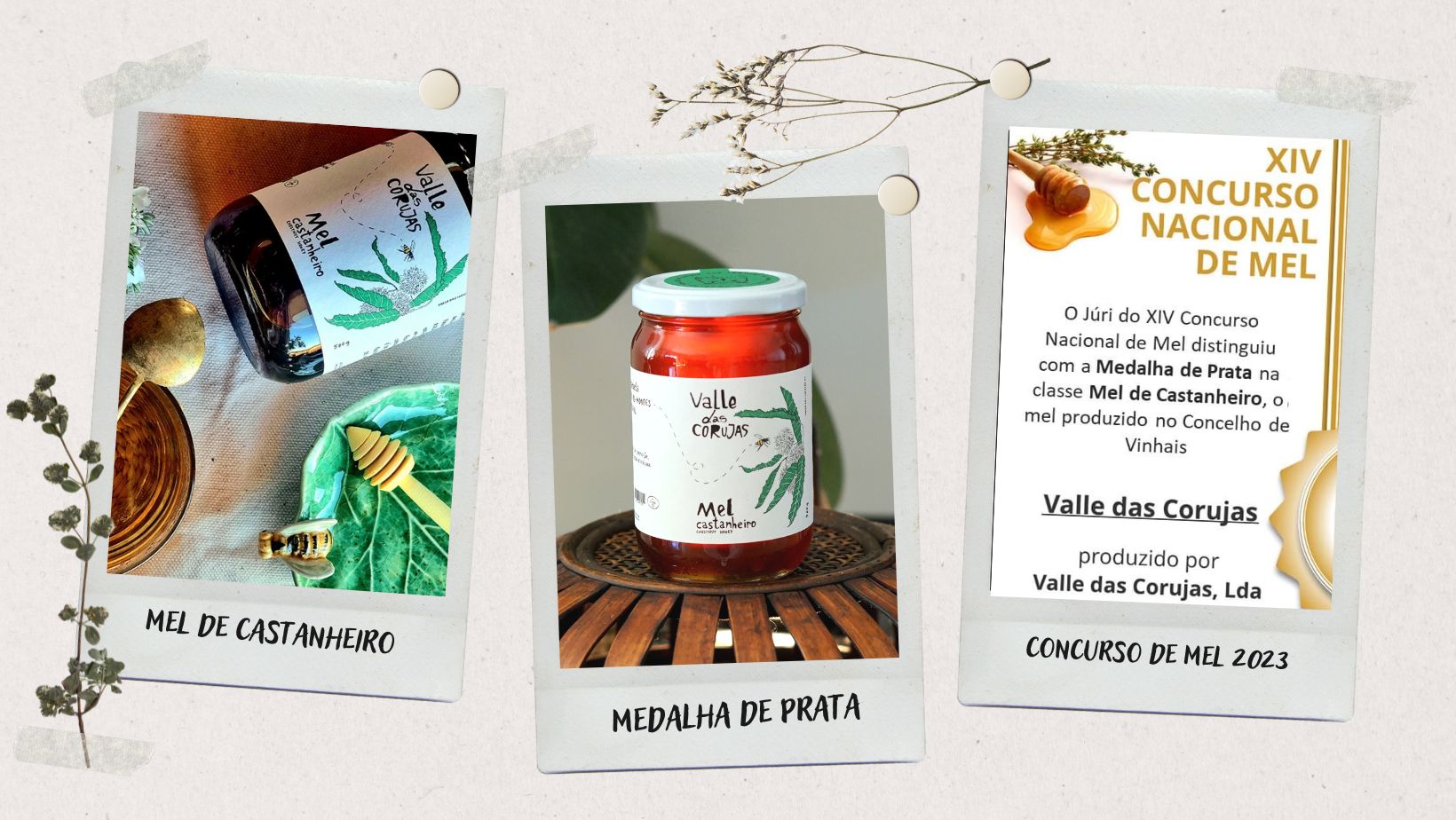 Concurso nacional de Mel - medalha de prata - mel castanheiro